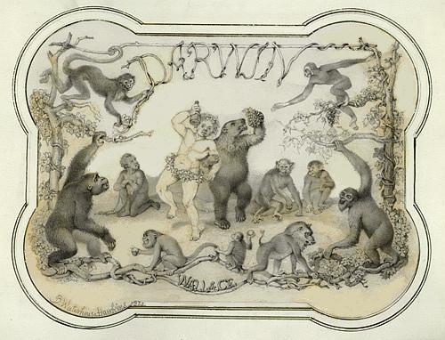 "An ingenious and labored anti-Darwinian exercise inspired by The Descent of Man of the same date (1871); also a bit of a temperance tract. Original artwork displaying a miniaturist's skill. But for what purpose? The decorative margin and minute detail suggest lanternslide copy. If the figures had been intended as book illustrations BWH would have drawn them directly on the lithographic stone. The skeleton-on-body-silhouette renderings recall those in Hawkins's Comparative view of the Human and Animal Frame" -- Baird. Darwin - Wallace / B. Waterhouse Hawkins, 1871. Image available via Academy of Natural Sciences.