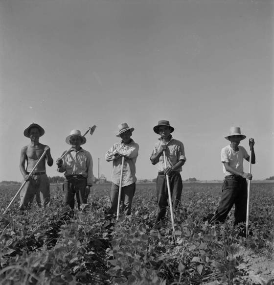 Farm laborers from the Twin Falls camp, July 1942. LC-USF34-073809-E. From Uprooted Exhibit.