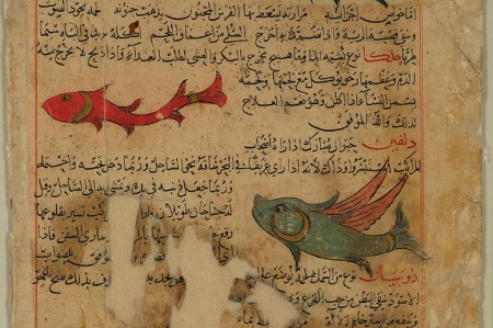 A dolphin and fish from ‘The London Qazwīnī’, courtesy of British Library and Qatar Foundation.