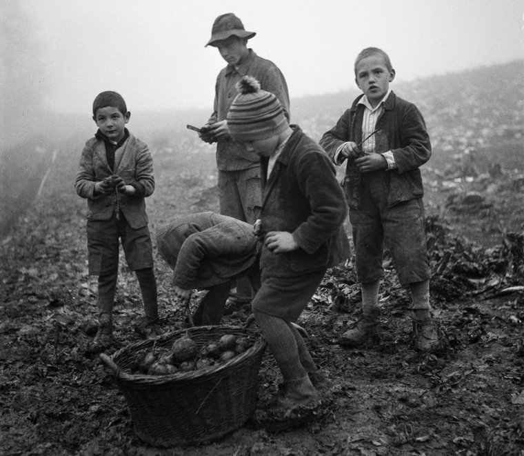 Swiss child labor