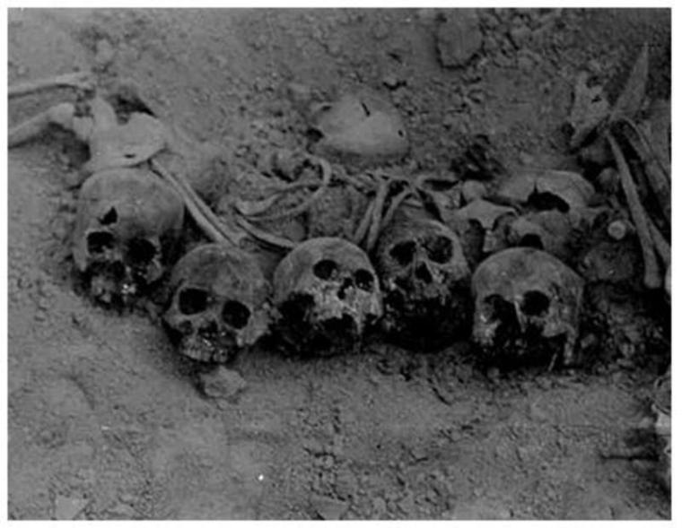 Skulls from a Mass Grave Uncovered in a Cave Outside of Taegu in 1960. Source: Truth and Reconciliation Commission, Republic of Korea.