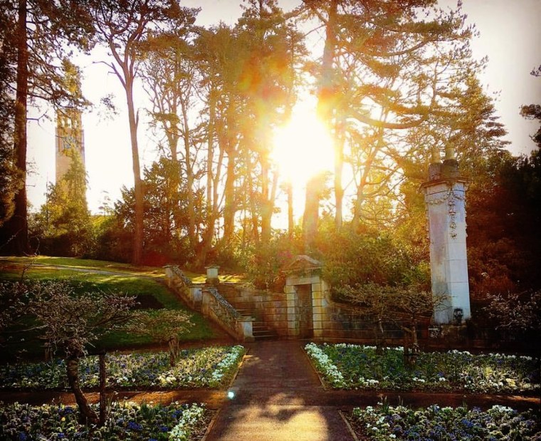 This is the site of the Victorian glasshouse in the grounds of the old Streatham Hall (now Reed Hall)